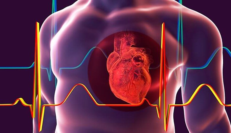 معنى ef في ايكو القلب