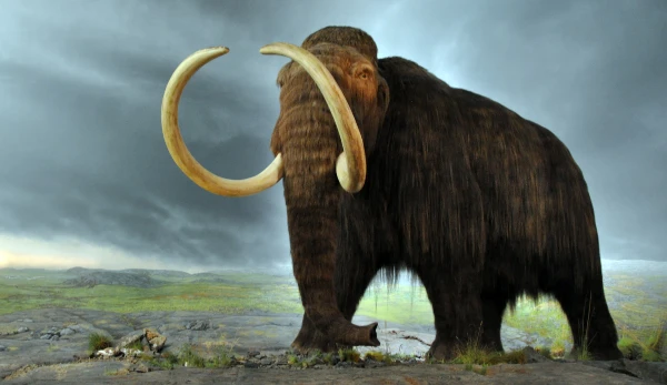 حيوانات منقرضة