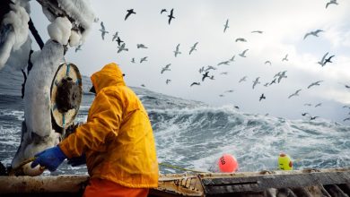 أفضل الأماكن السياحية في أولم