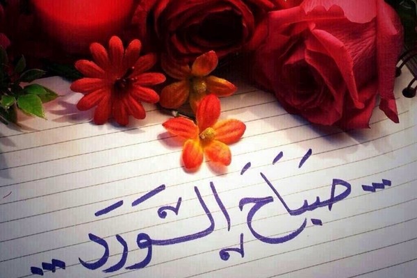 عبارات صباح الخير