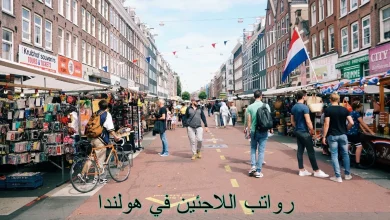 رواتب اللاجئين في هولندا