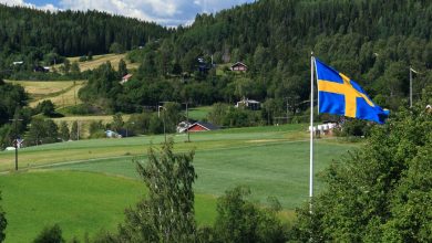 الحياة في السويد للمهاجرين