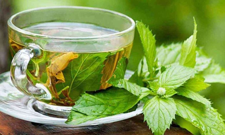 افضل انواع الشاي الاخضر