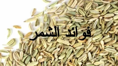 فوائد الشمر للكرش