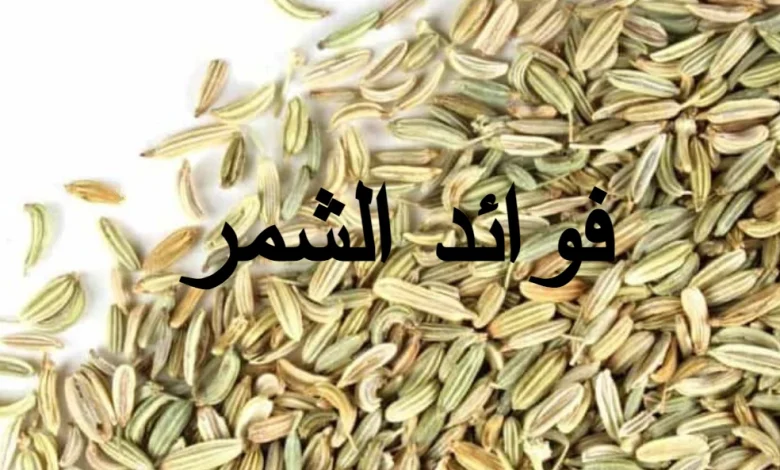 فوائد الشمر للكرش