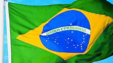 الهجرة الى البرازيل