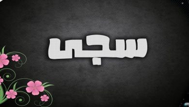 معنى اسم سجى