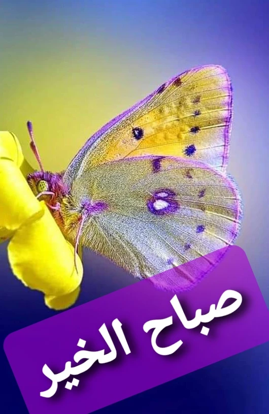 صور صباح الخير مميزة
