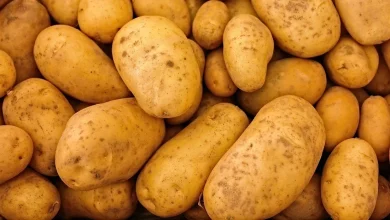 فوائد البطاطس