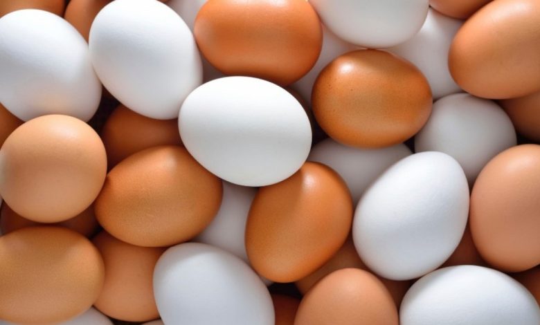 تفسير رؤية البيض في المنام