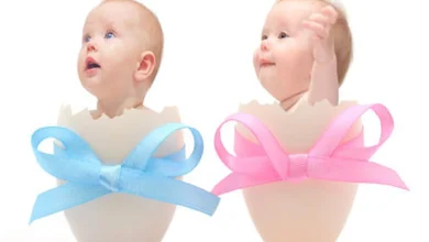  الجدول الصيني للحمل لمعرفة جنس الجنين