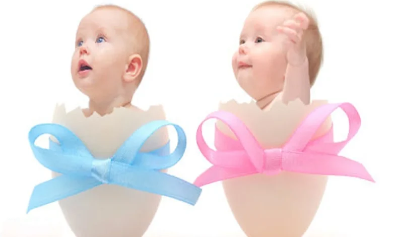  الجدول الصيني للحمل لمعرفة جنس الجنين