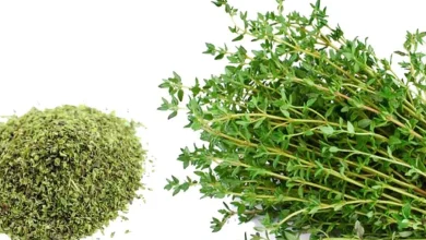 فوائد الزعتر