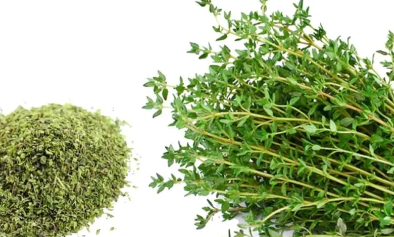 فوائد الزعتر