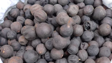 فوائد الليمون الأسود