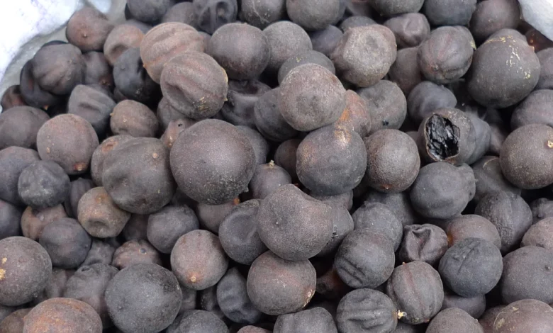 فوائد الليمون الأسود