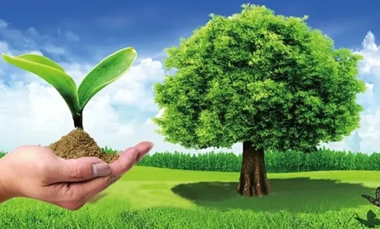 المحافظة على البيئة