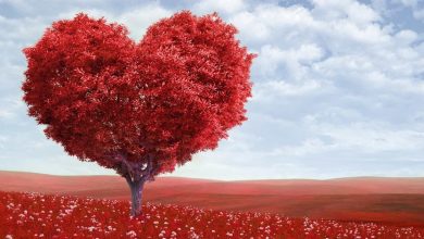 خلفيات صور حلوة