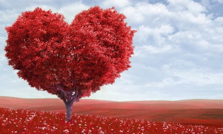 خلفيات صور حلوة