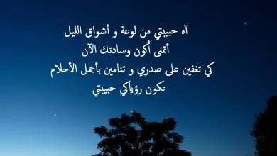 شعر عن النوم