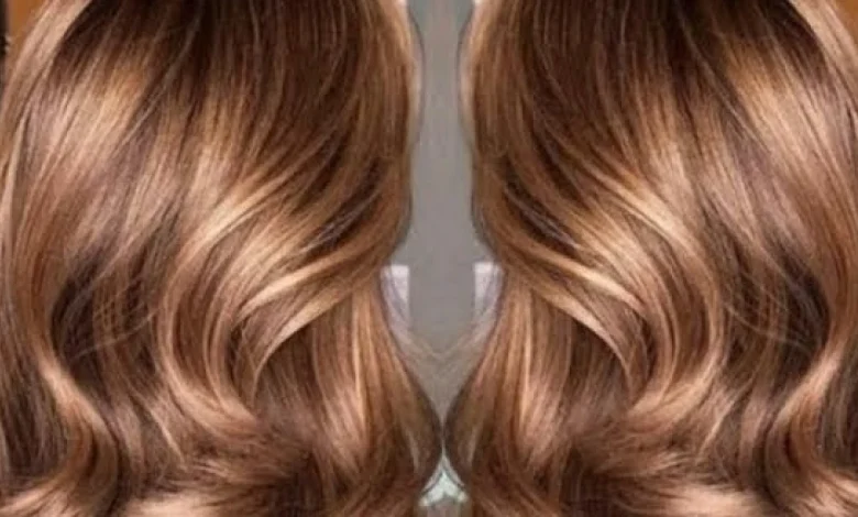 صبغة لوريال بدون امونيا