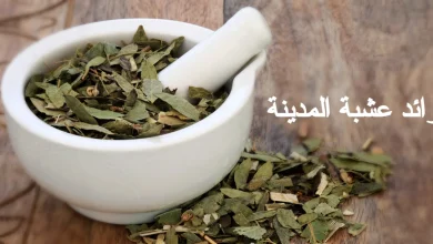 فوائد عشبة المدينة