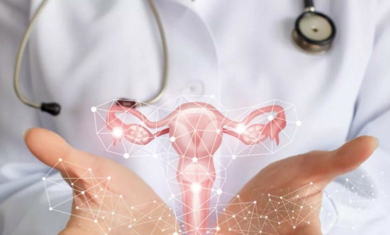 علاج البروستاتا بالأعشاب