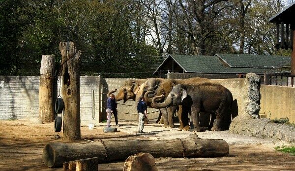 افضل اماكن السياحية في كارلسروه