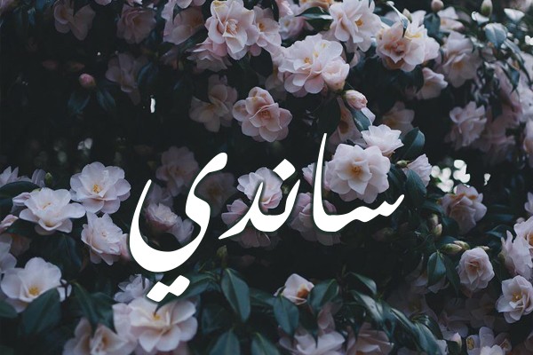اسم ساندي