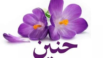 اسم حنين