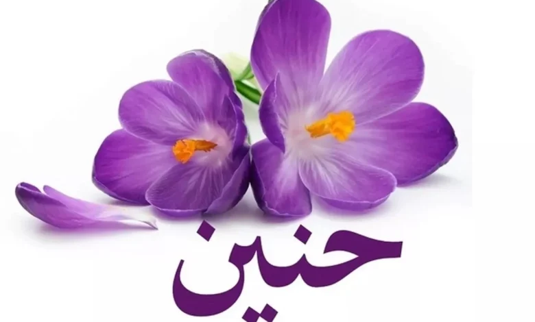 اسم حنين