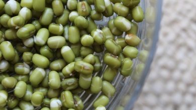 فوائد الماش