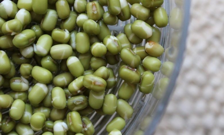 فوائد الماش