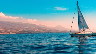 كلام عن البحر