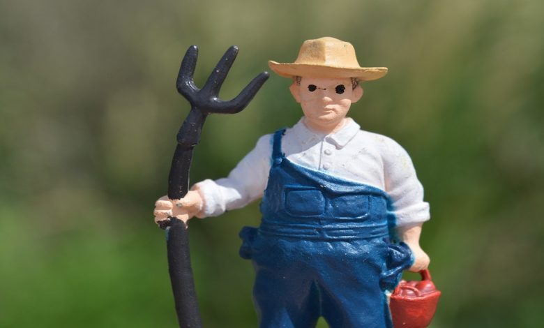 أدوات الزراعة