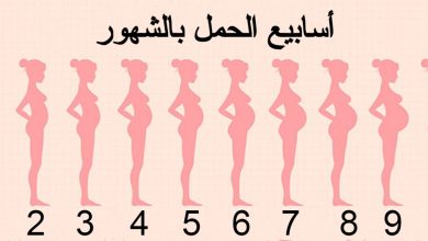 أسابيع الحمل