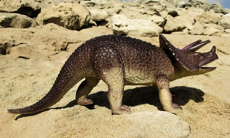 أسباب تعرض الحيوانات للإنقراض