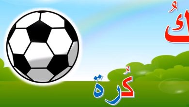 أسماء جماد بحرف الكاف