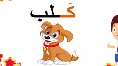 أسماء حيوان بحرف الكاف