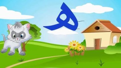 أسماء حيوانات تبدأ بحرف الهاء