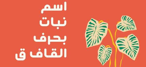 أسماء نبات بحرف القاف