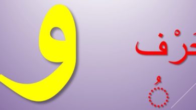 اسماء حيوانات بحرف الواو