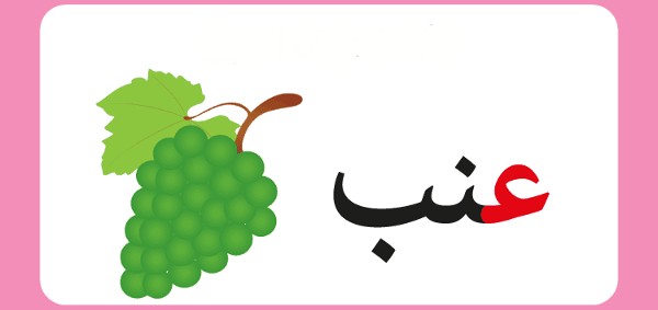 اسماء نبات بحرف العين