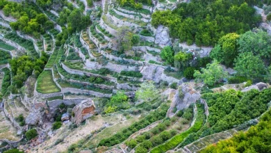 الجبل الأخضر