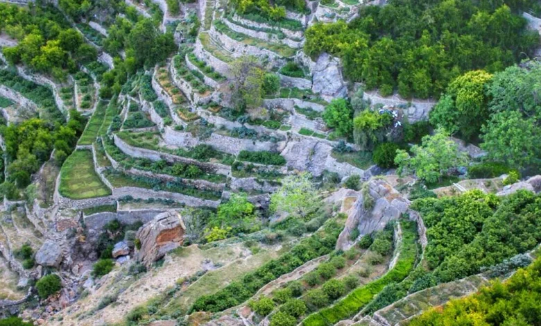 الجبل الأخضر