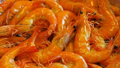 طريقة عمل الجمبرى المسلوق