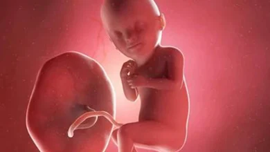 تجربتي في زيادة وزن الجنين