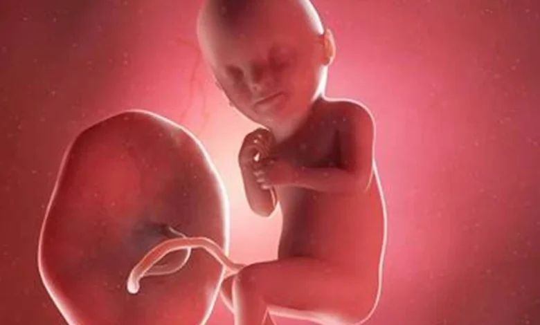 تجربتي في زيادة وزن الجنين