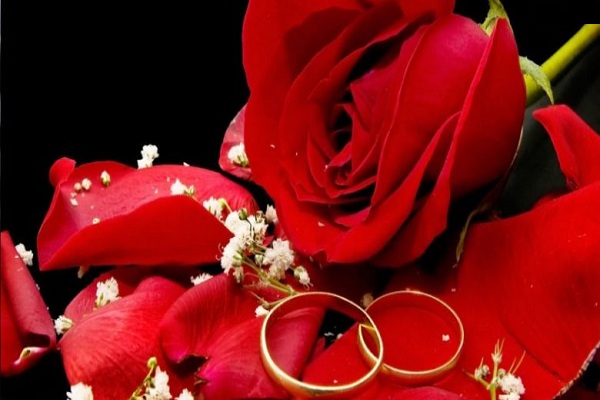 صور دبل خطوبة مباركة