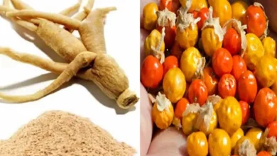 عشبة الاشواجندا